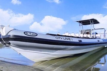 Lisbon Landmarks by Speedboat: Private 1-Hour Tour on the Tagus