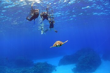 Discover Kerama Islands Snorkeling Half Day 1 Free Banana Boat
