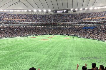 Catch a Baseball Game in Tokyo with a Local - Tickets Included