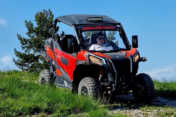 Istra Buggy Safari 