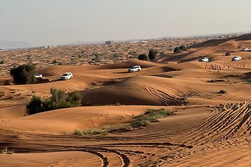 Dubai Desert Safari with BBQ Dinner and Belly Dance