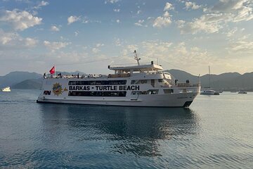 Full-Day Dalyan Boat Tour: Turtle Beach & Mud Bath in Marmaris 