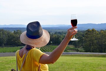 Hunter Valley Private Daily Tours - Premium Wine Tasting 