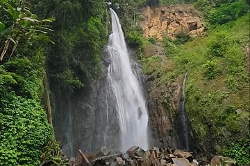 Bogor Botanical Garden & Rainforest Trekking to Hidden Waterfall