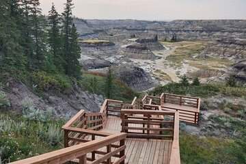 1 Day Drumheller Private Minibus Dinosaurs Hoodoos Bridges Canyon