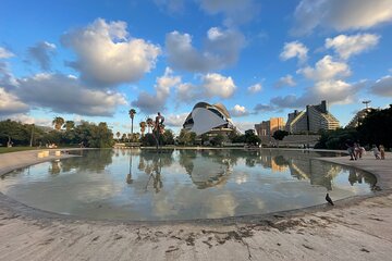 From the Old Town to the City of Arts – Small Group Bike Tour