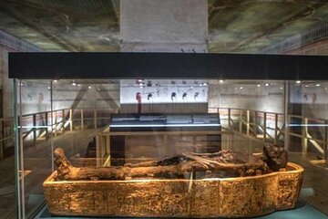 Cairo Private Day Tour (Mummies Museum – Citadel – Coptic Cairo)