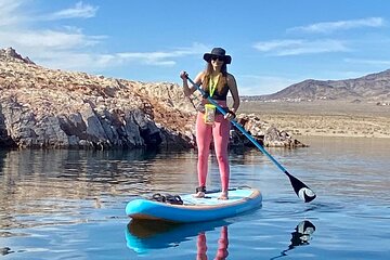 Paddle Board Rentals in Lake Mead