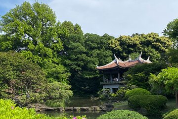 Discover the History of Shinjuku Gyoen – Private Walking Tour