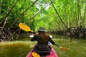 Kayak Ao Thalane Hidden Mangroves and Limestone Cliffs in Krabi 
