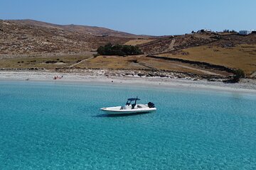 Private Speed Boat Trip from Mykonos to Delos and Rineia - 7 hrs