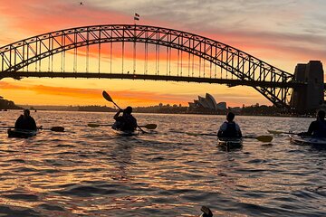 Sunset Harbour Bridge Kayak Escape