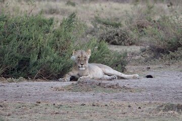 Nairobi National Park Safari Tour