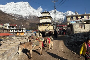  21 Day Trek in Manaslu Tsum Valley 