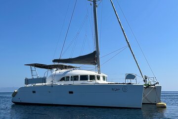 2 hours catamaran experience · Dolphins · incl. tapas + welcome drink
