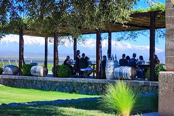 Stories of Malbec by Lujan de Cuyo