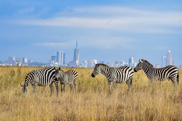 Nairobi Langata Road Shared Tour Excursion with Transportation