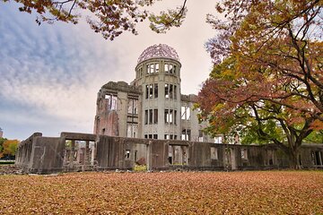 From Kyoto/Osaka ; Hiroshima and Miyajima Private Day Tour 