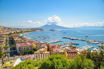 Private Pompeii and Vesuvius Day Trip from Naples