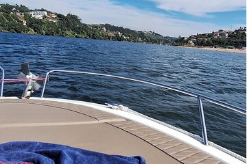 Cruise in the Douro: Heritage, nature and landscapes