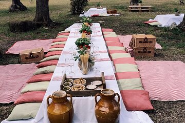 Picnic among the olive groves tasting in the countryside of Conversano
