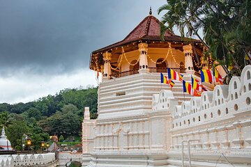 Kandy Day Tour with Car Transport