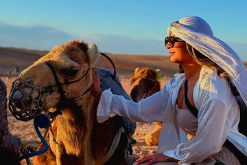 Marrakech: Camels & Quads on Sunset and Luxury Dinner with Show