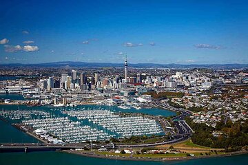 Auckland City and Native Kiwi Encounter Small Group Tour