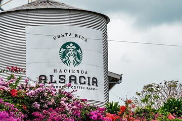 Hacienda Alsace, La Paz Falls and Local Craft Tour