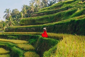 Ubud Culture & Art Village: Rice Terrace & Waterfall Tour