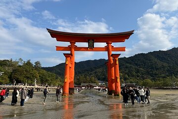 Private Guided Tour of Miyajima from Osaka or Kyoto