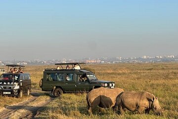 Nairobi National Park, Elephant Orphanage and Giraffe Center Tour