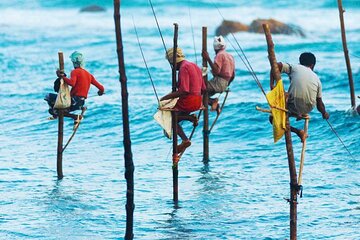 Galle Day Tour from Colombo/Negombo by Private Car or Van