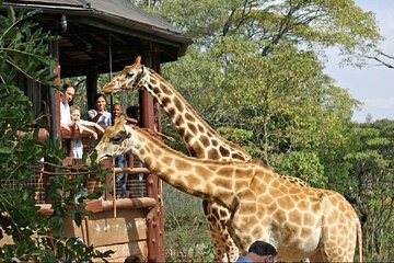 Kenya Nature and Wildlife Multi Day Tour