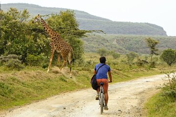Hell's Gate and Lake Naivasha Guided Day Trip