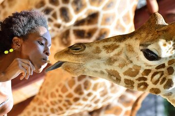  Giraffe Centre Nairobi City Tour Explore