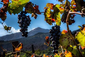 Tour Etna and Wine an experience between nature and aromas with taste.