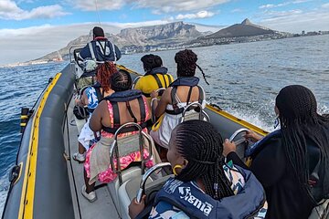 Cape Town Ocean Safari 