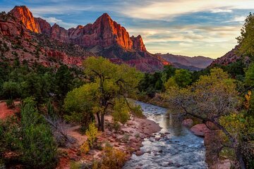 Zion National Park Full-Day Insider Tour