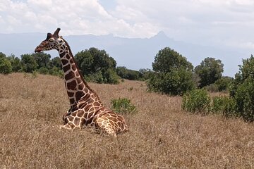 Luxury Sundowner and Wildlfe Expeditions in Mara Reserve