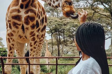 Giraffe Centre and Bomas of Kenya from Nairobi