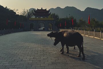 Ninh Binh Day Escape from Hanoi: Local Life, Connection & Tales