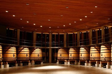 Private Tour Clos Apalta and Montes Wineries