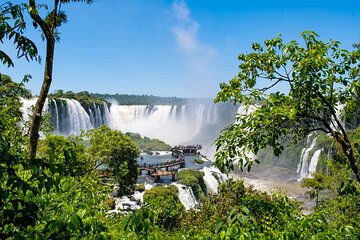 Shared Brazilian Falls Experience with Bird Park Walkthrough