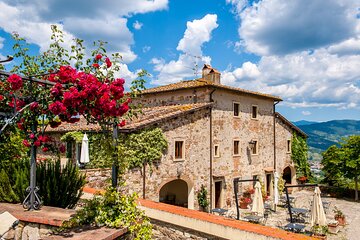 Organic Wine and Gourmet experience in Tuscany Chianti hills
