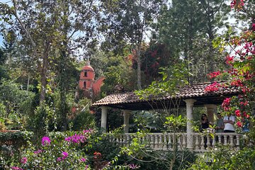 Private Tour: Botanical Garden, Petroglyphs & Mexican Food