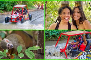 Double Adventure: Monkeys Plus Drive a 4x4 Buggy 