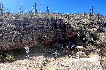Guided Hike in the Sonoran Desert