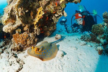 Hurghada Beginner Scuba Diving – 2 Dives, Lunch & Transfers