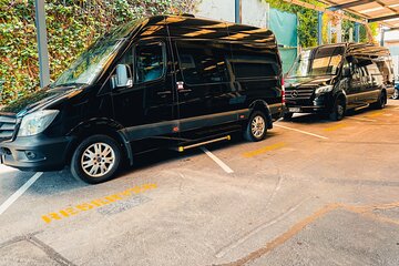 Auckland to Rotorua Transfers | Mercedes Sprinter (10-16 Pax)